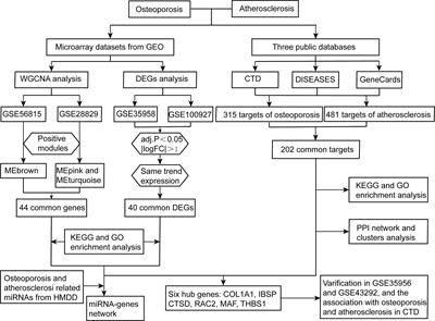 Integrated Bioinformatic Analysis of the Shared Molecular Mechanisms Between Osteoporosis and Atherosclerosis